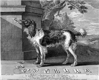The New Chien Savant, or Learned Dog, print made by F-Morellon la Cave, 1752 by Sutton Nicholls